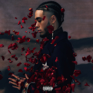 日本精品在线视频
