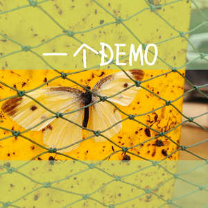 日本精品在线视频
